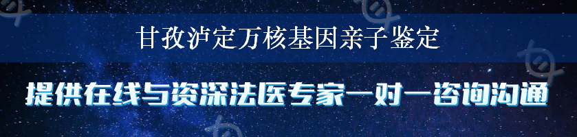 甘孜泸定万核基因亲子鉴定